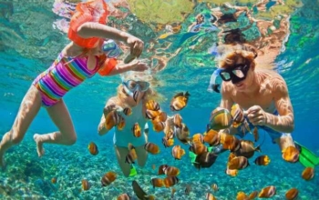 Paket Tour 1 Hari 1 Malam snorkeling Nusa Penida Explore