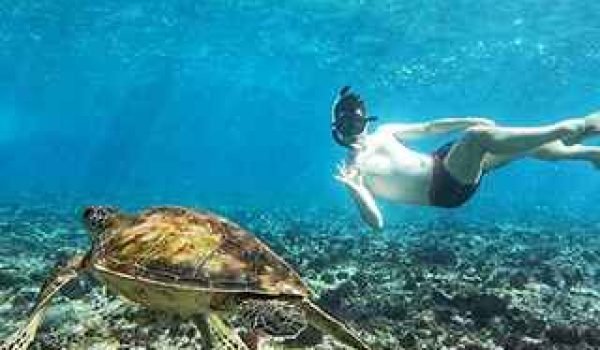 Best Places For Scuba Diving In Nusa Penida 1 Snorkeling Manta Bay Crystal Bay Gamat Bay Wall PointNusa Penida Explore Bali
