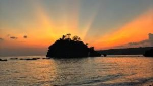 WhatsApp Image 2026-01-12 at 08.20.33 (1)