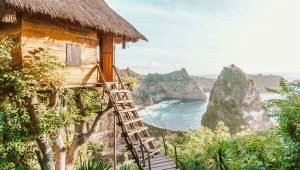The nusa penida tree house rumah pohon